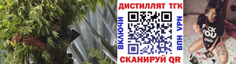 маркетплейс телеграм  закладки  Гусь-Хрустальный  ТГК вейп с тгк 
